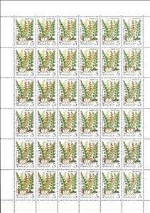 Full Pane, Rusty Back (Ceterach officinarum), Soviet Union, USSR,  , Ferns, Plants (Flora)