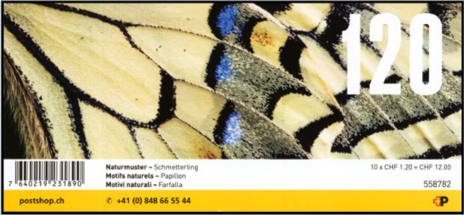 Butterfly: Old World Swallowtail (Papilio machaon)