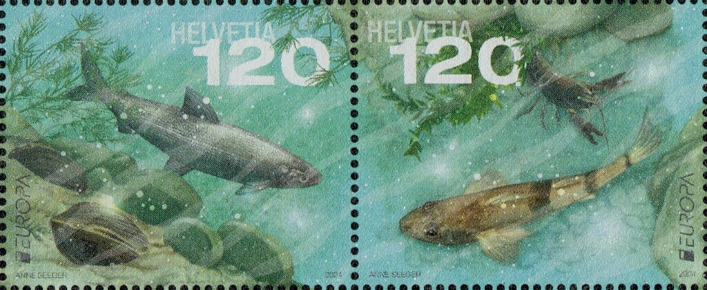 Underwater Fauna and Flora