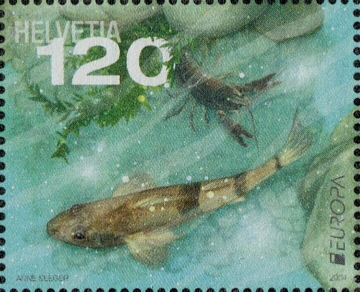 Zingel Asper, White-Clawed Crayfish, and Common Water Moss