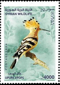 Stamp, Eurasian Hoopoe (Upupa epops), Syria,  , Birds