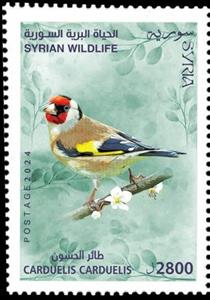 Stamp, Goldfinch (Carduelis carduelis), Syria,  , Birds