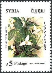 Iris