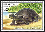 Stamp Reptiles of Belarus - Pond turtle