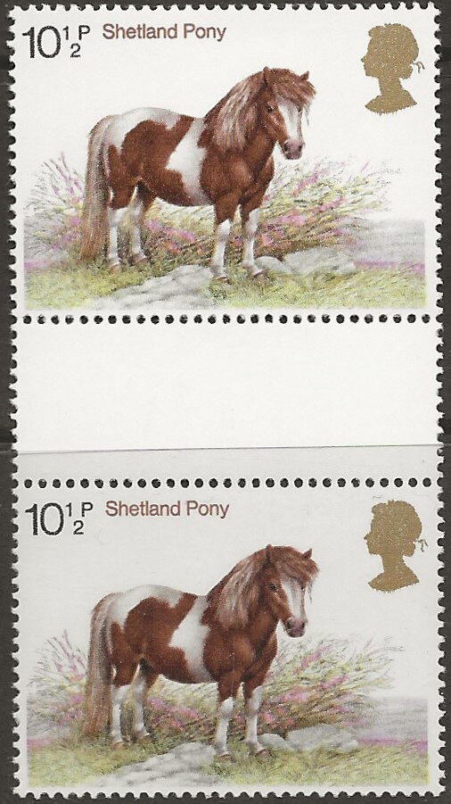 Shetland Pony (Equus ferus caballus)