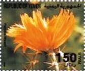 Parodia maasii