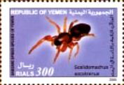 Stamp, Scelidomacus socotranus, Yemen,  , Animals (Fauna), Spiders