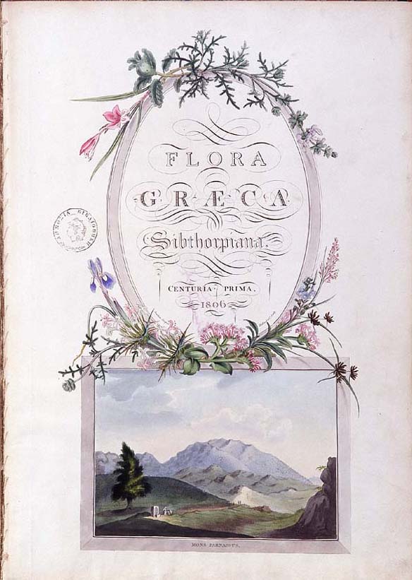 Flora