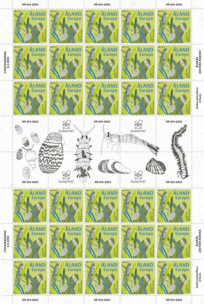 Europa (C.E.P.T.) 2024 - Eelgrass (Zostera marina)