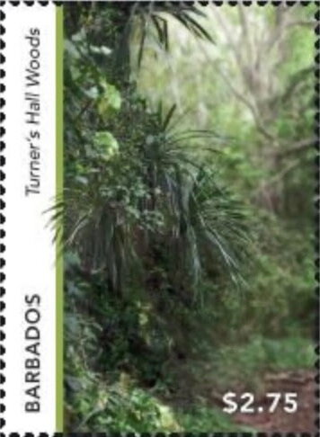 Turner's Hall Woods