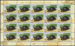 Full Pane, European Pond Turtle (Emys orbicularis), Belarus,  , Animals (Fauna), Reptiles, Turtles