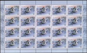 Full Pane, Smew (Mergellus albellus), Belarus,  , Animals (Fauna), Birds