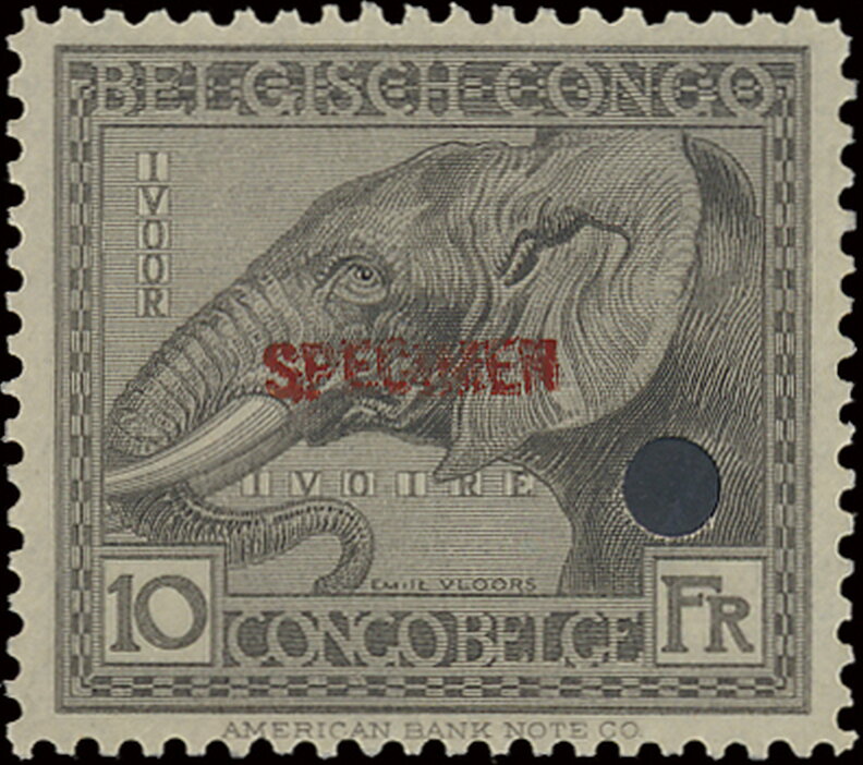 African Elephant (Loxodonta africana)