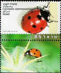 Stamp, Seven-Spot Ladybird (Coccinella septempunctata), Israel,  , Insects, Beetles
