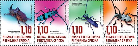 Insects of Bosnia