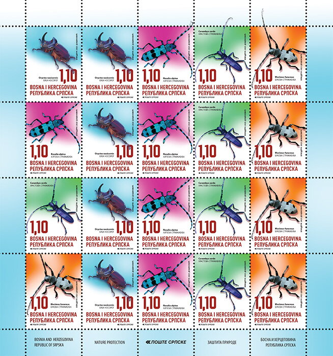Insects of Bosnia