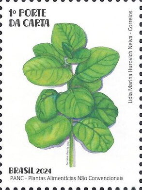 Bertalha (Basella alba)