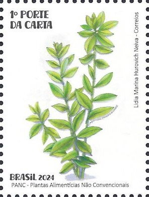 Ora Ppro Nobis (Pereskia aculeata)
