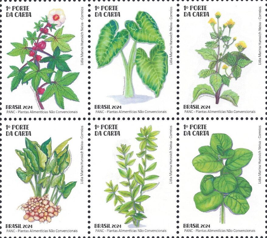 Unconventional Food Plants