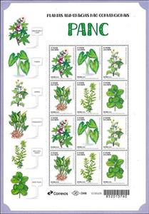 Full Pane, Unconventional Food Plants, Brazil,  , Food, Plants (Flora)
