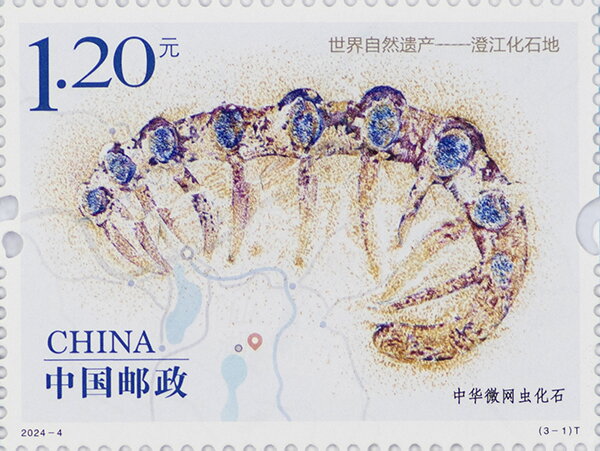 Fossils of Chengjiang