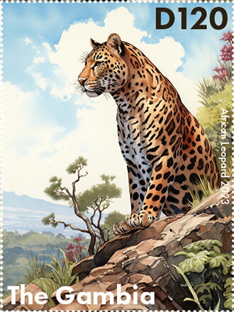 African Leopard