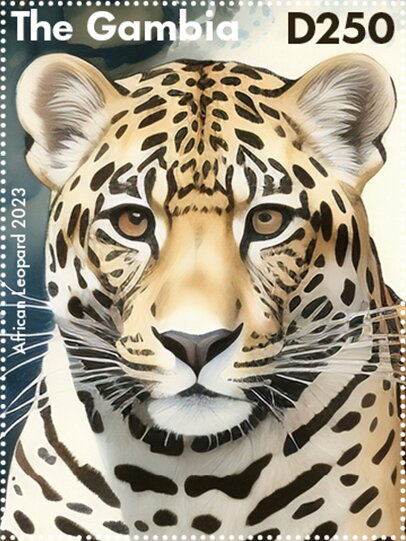 African Leopard