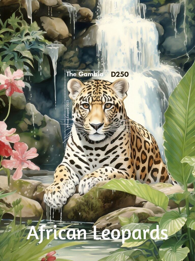 African Leopards