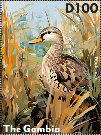 Duck