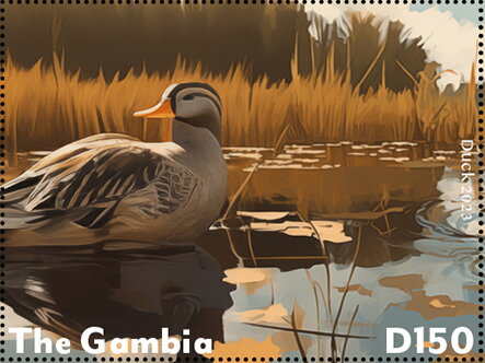 Duck