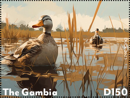Duck