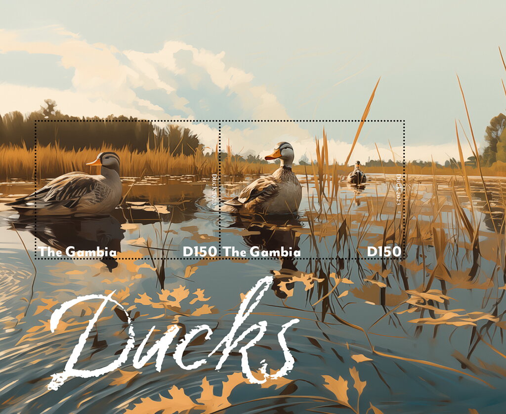 Ducks