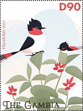 Flycatcher