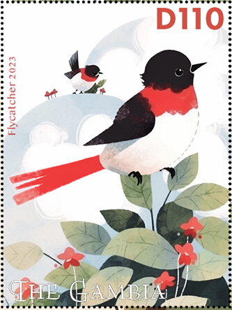 Flycatcher