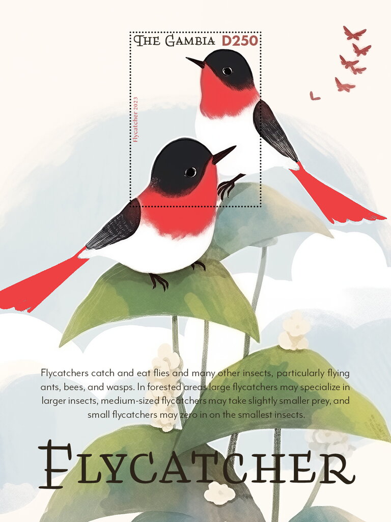 Flycatcher