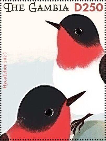 Flycatcher