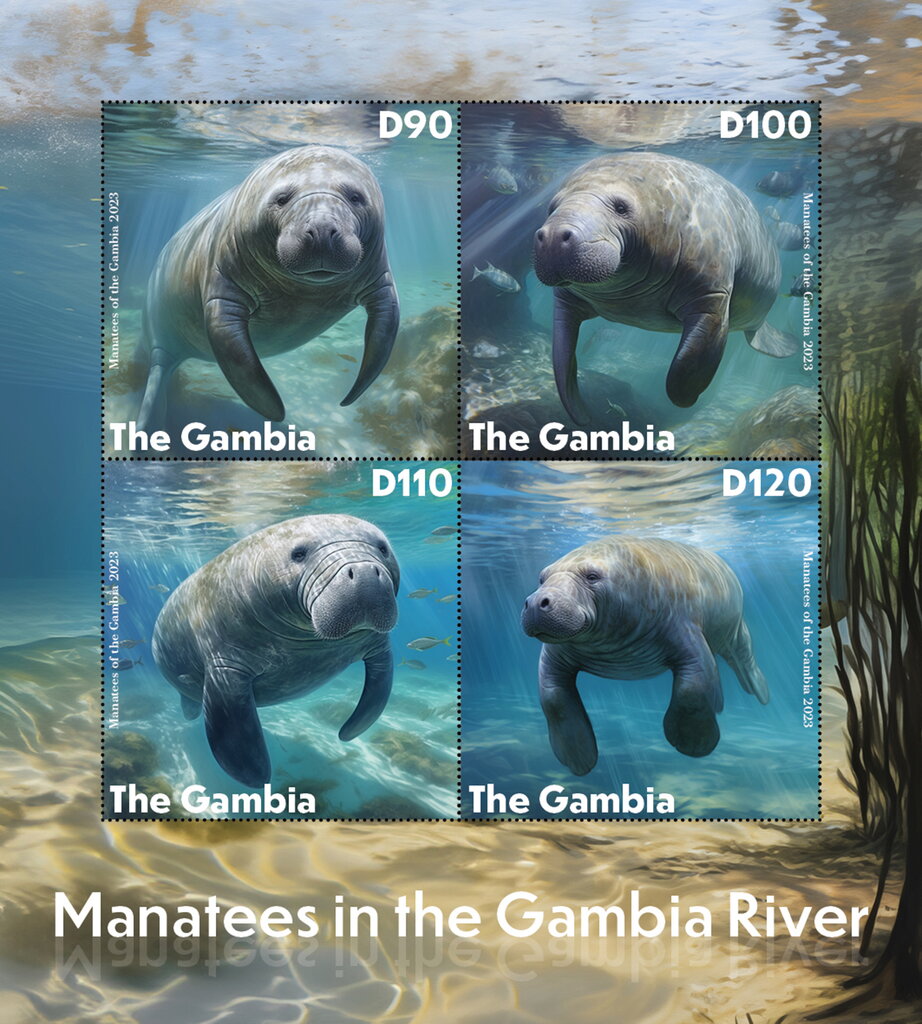 Manatees in the Gambia River