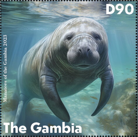 Manatees of the Gambia