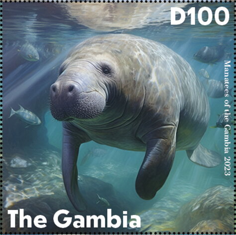 Manatees of the Gambia