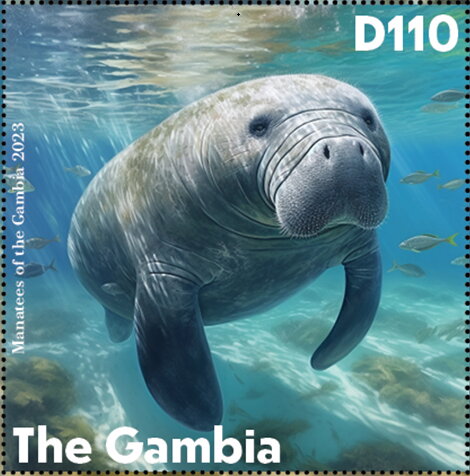 Manatees of the Gambia