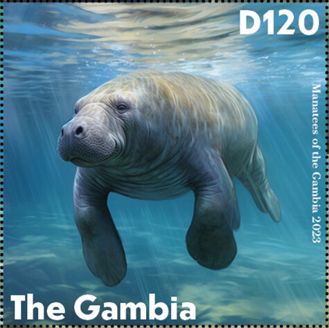 Manatees of the Gambia