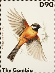 Stamp, Village Weaver (Ploceus cucullatus), Gambia,  , Animals (Fauna), Birds