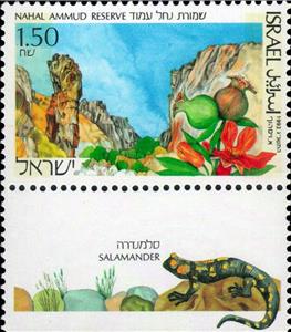 Stamp, Nahal Ammud Reserve; on Tab: Common Fire Salamander (Salaman, Israel,  , Landscapes, National Parks, Plants (Flora), Rock
