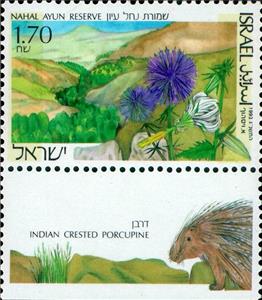 Stamp, Nahal Ayun Reserve; on Tab: Indian Crested Porcupine (Hystri, Israel,  , Landscapes, Flowers, Mountains, National Parks, Plants (Flora)