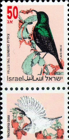 Stamp, Palestine Sunbird (Nectarinia osea), Israel,  , Birds, Animals (Fauna)