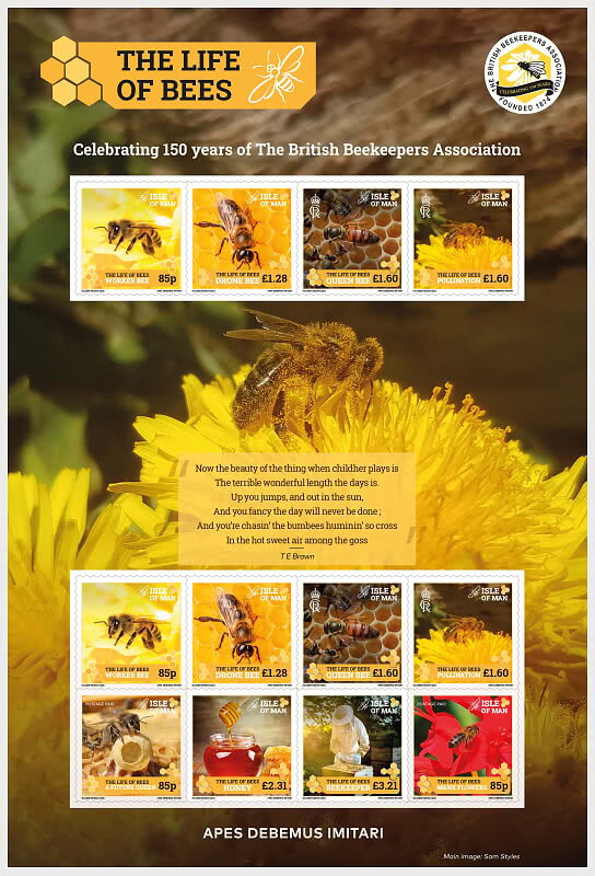 The Life of Bees