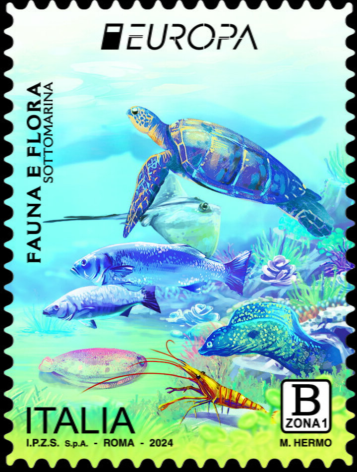 Sea Life Under Water including Turtle