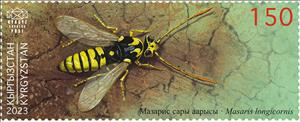 Stamp, Kuznetzov’s Longicorn Wasp (Masaris longicornis), Kyrgyzstan- Kyrgyz Express Post,  , Insects