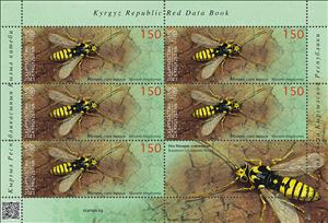 Full Pane, Kuznetzov’s Longicorn Wasp (Masaris longicornis), Kyrgyzstan- Kyrgyz Express Post,  , Insects