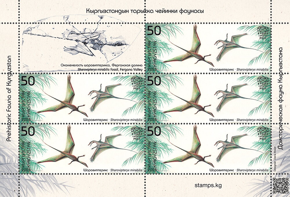 Sharovipteryx (Sharovipteryx mirabilis)